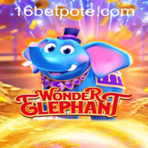 Exploring WonderElephant: A New Gaming Sensation